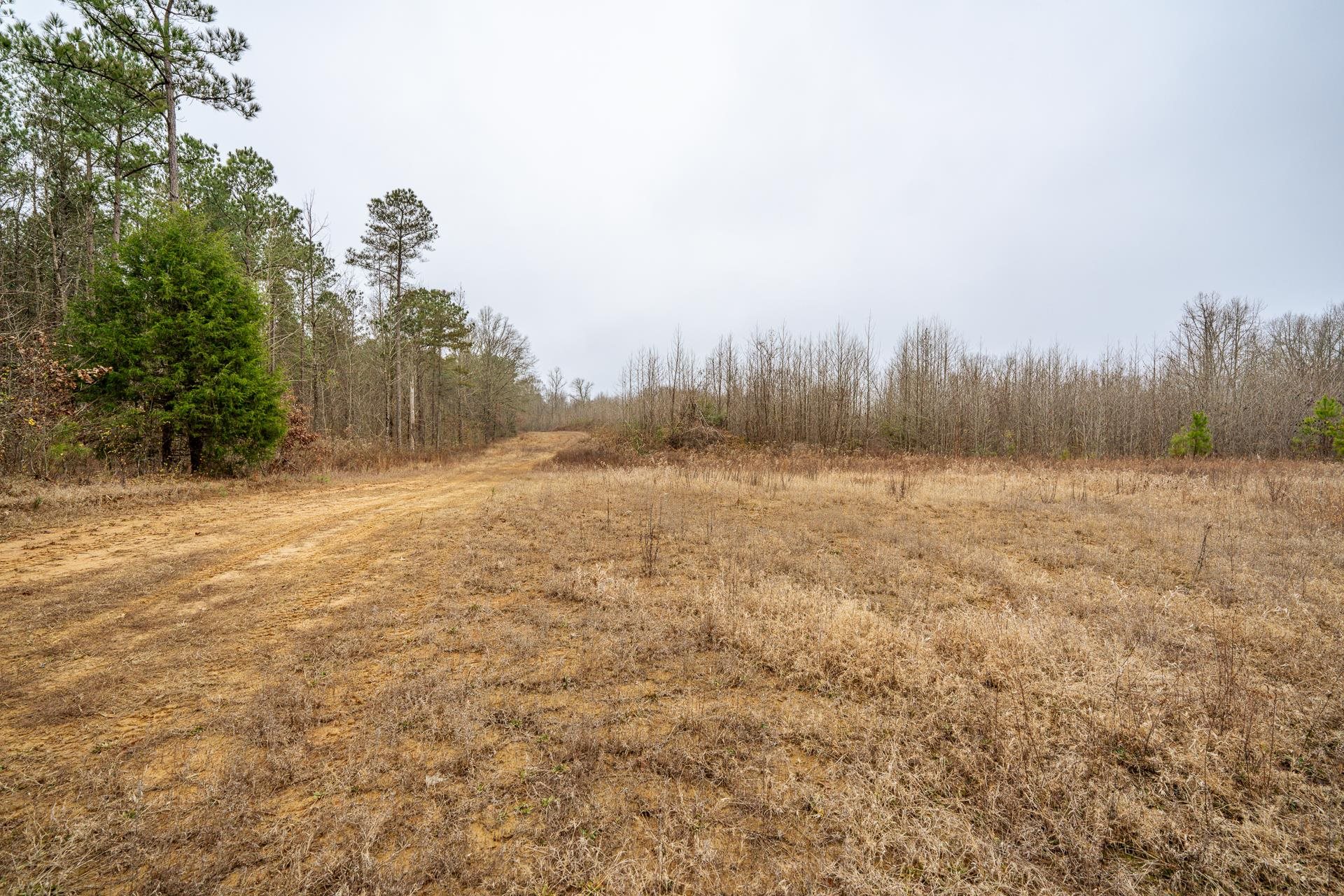 10970 Peavine Road Pocahontas, TN 38061 - Photo 7 of 26