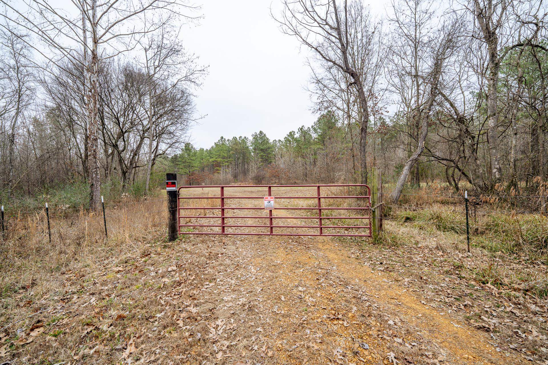 10970 Peavine Road Pocahontas, TN 38061 - Photo 8 of 26