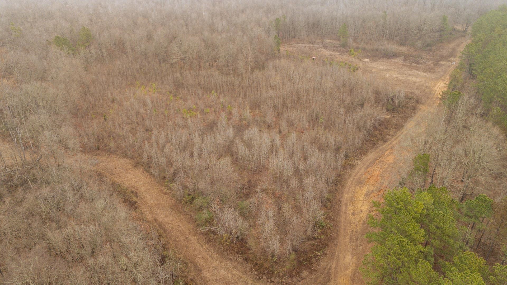 10970 Peavine Road Pocahontas, TN 38061 - Photo 9 of 26