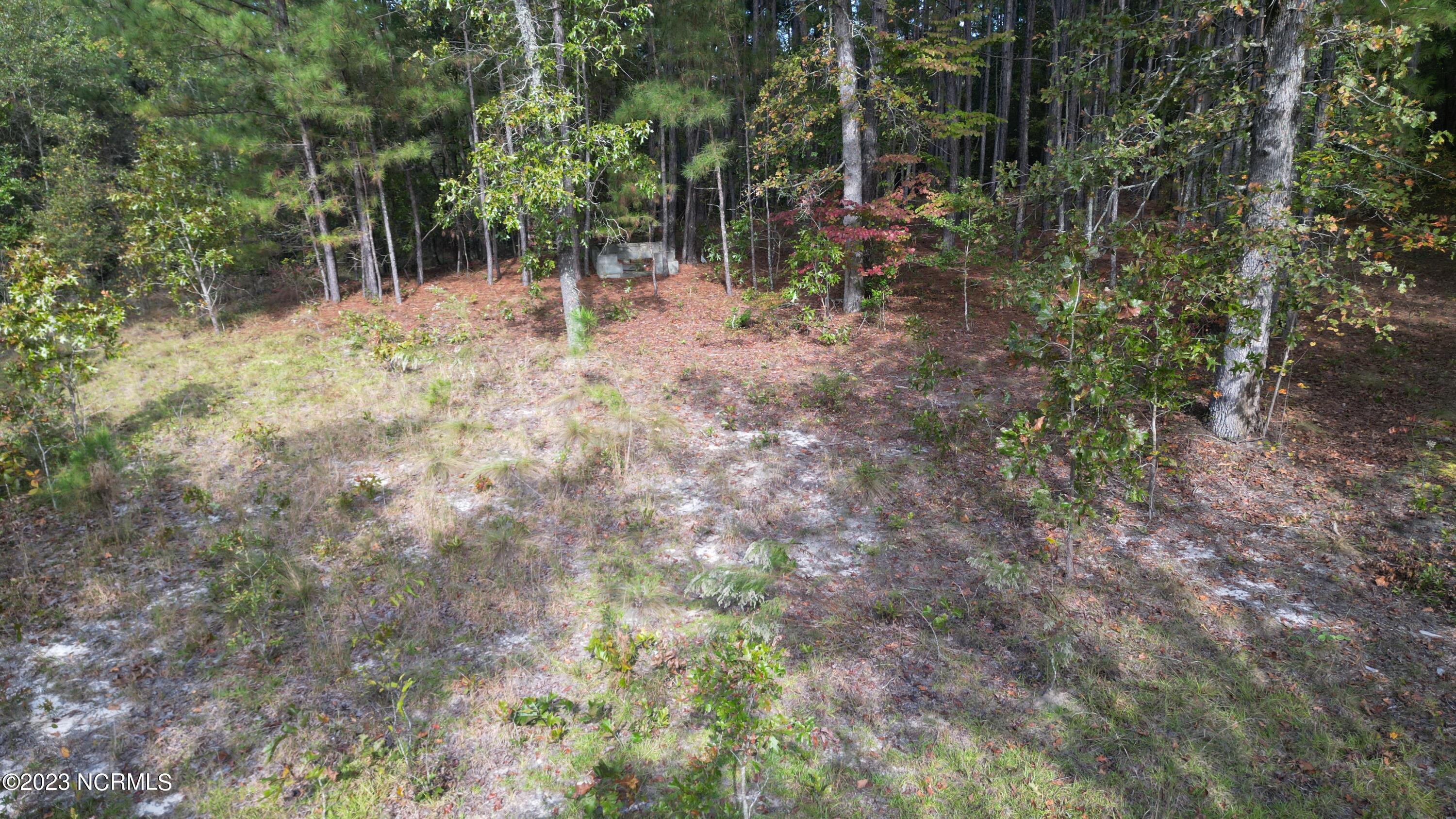 18.33-acre McPherson Road Vass, NC 28394 - Photo 32 of 39 DJI_0152