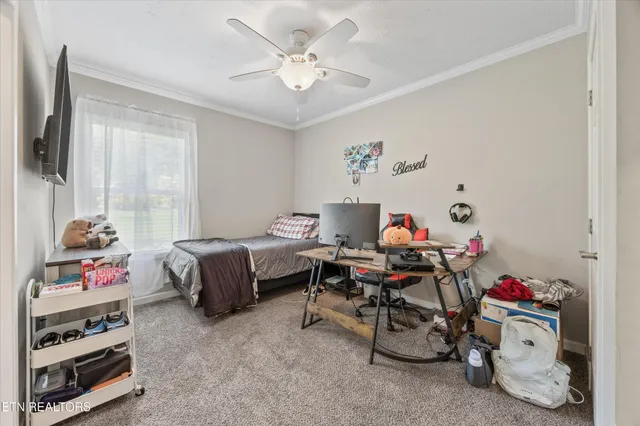 a bathroom with a toilet and a shower curtain