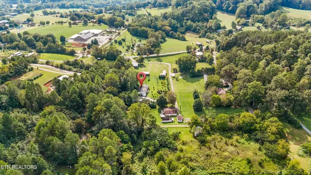 a view of a lush green hillside and houses