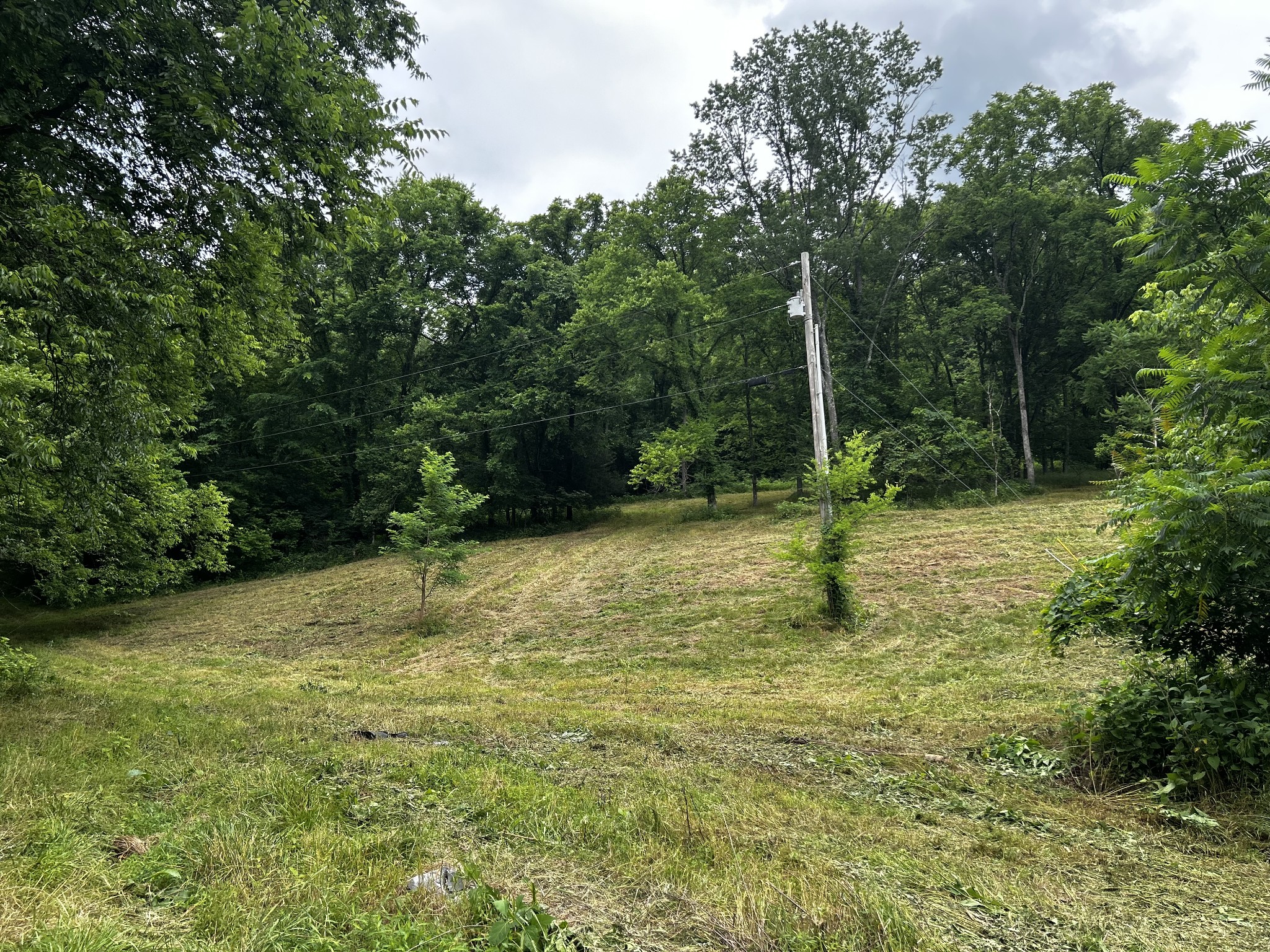 98 Hackett Valley Road Hickman, TN 38567 - Photo 8 of 41