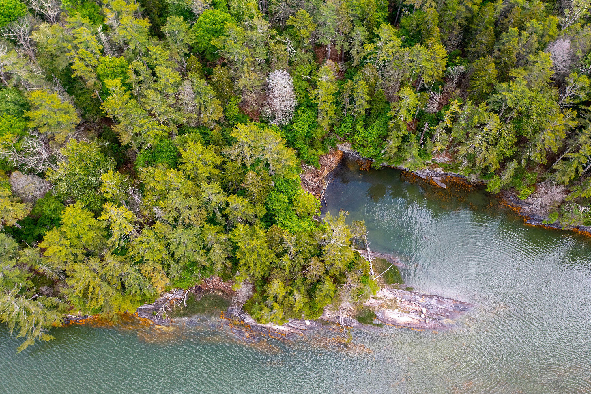 80 Map Island Harpswell, ME 04079 - Photo 11 of 19 Aerial