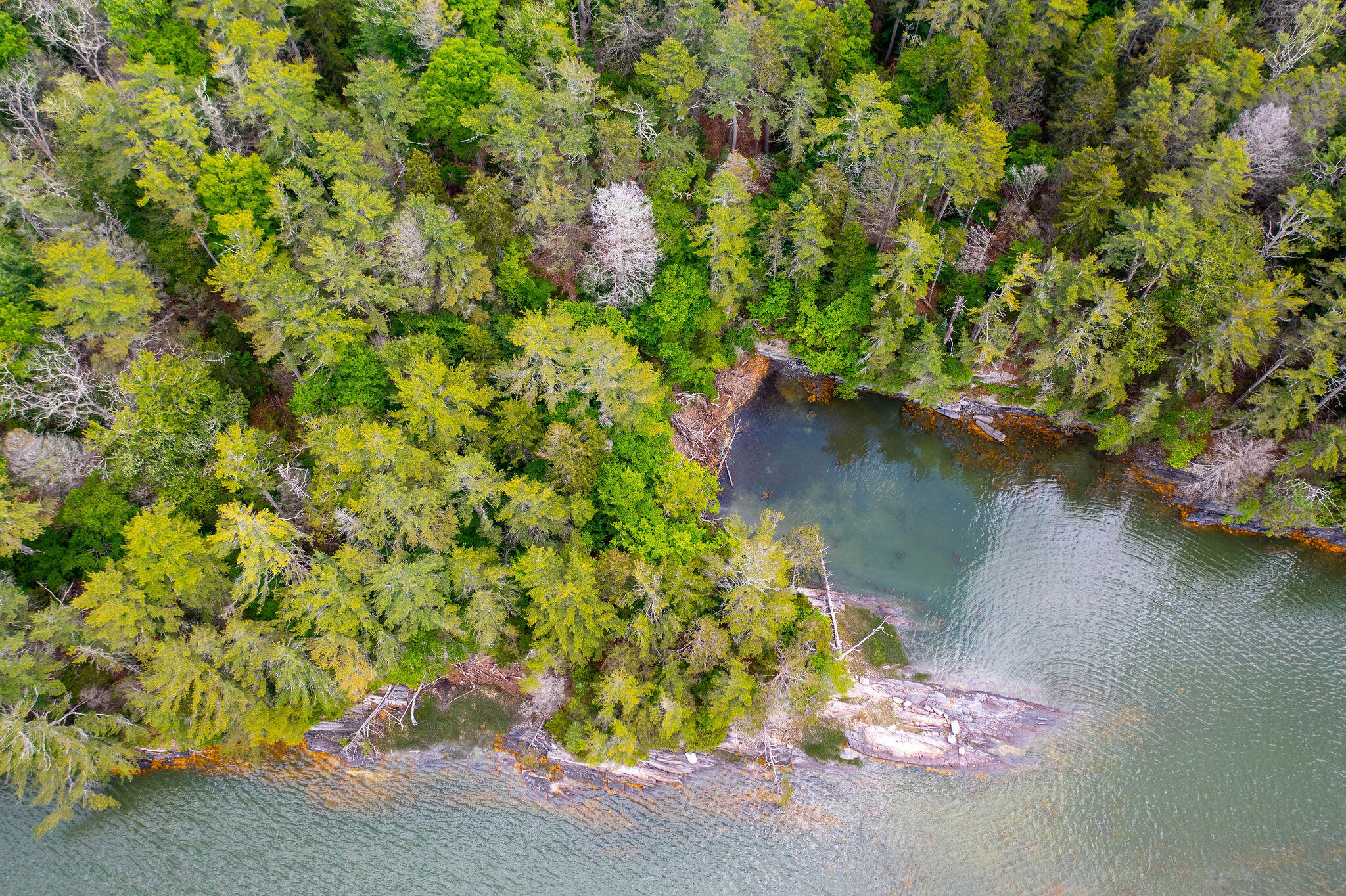80 Map Island Harpswell, ME 04079 - Photo 15 of 19 Aerial