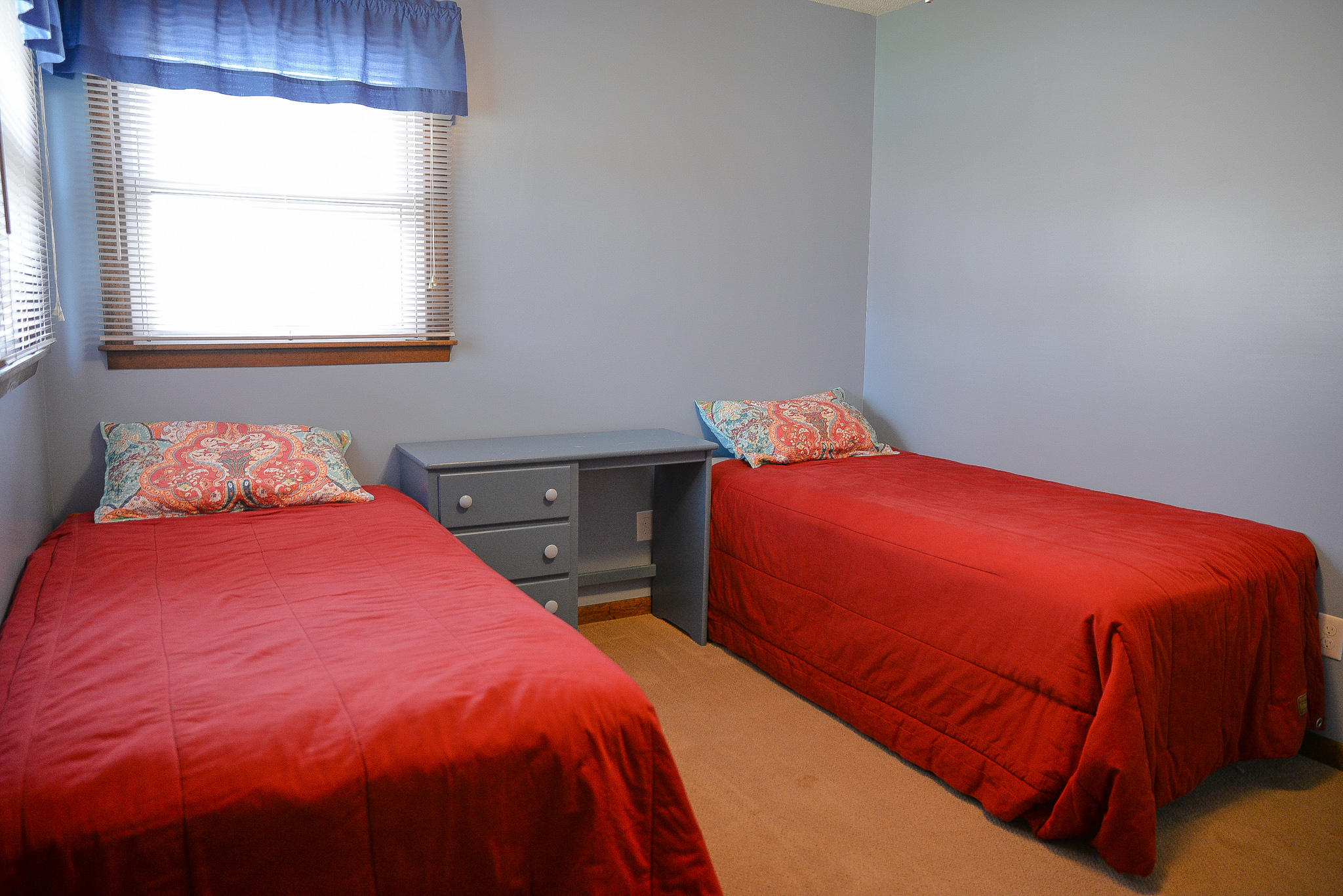 246 Ridgeview Drive Gray, TN 37615 - Photo 6 of 29 DSC_6747