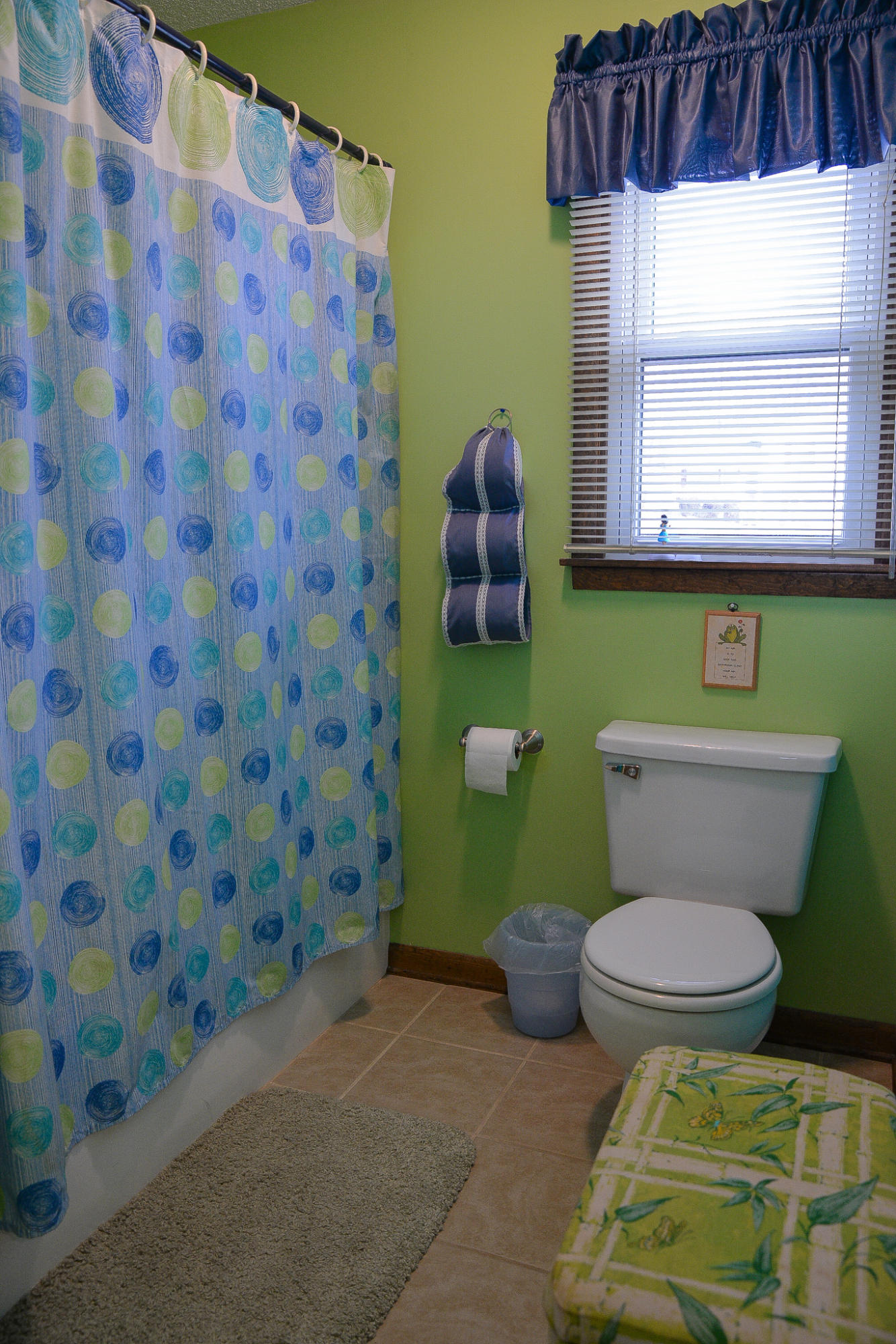 246 Ridgeview Drive Gray, TN 37615 - Photo 9 of 29 DSC_6753
