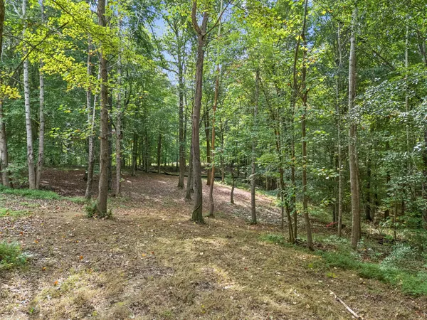 a view of outdoor space and trees