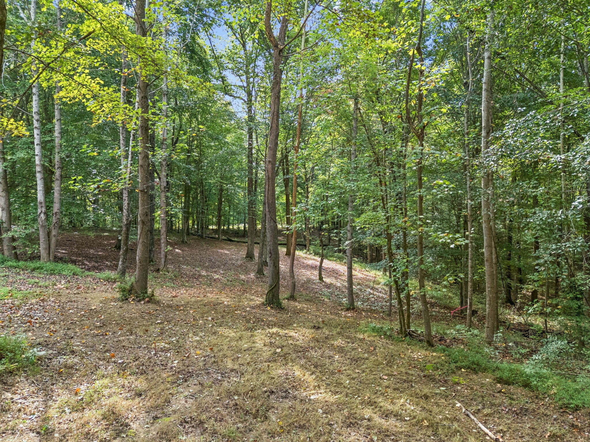 0 Tidwell Switch Road Bon Aqua, TN 37025 - Photo 1 of 13 a view of outdoor space and trees