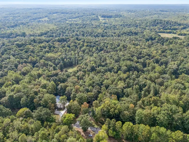 an aerial view of forest