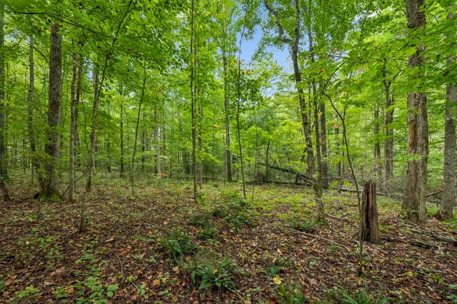 a view of outdoor space and trees