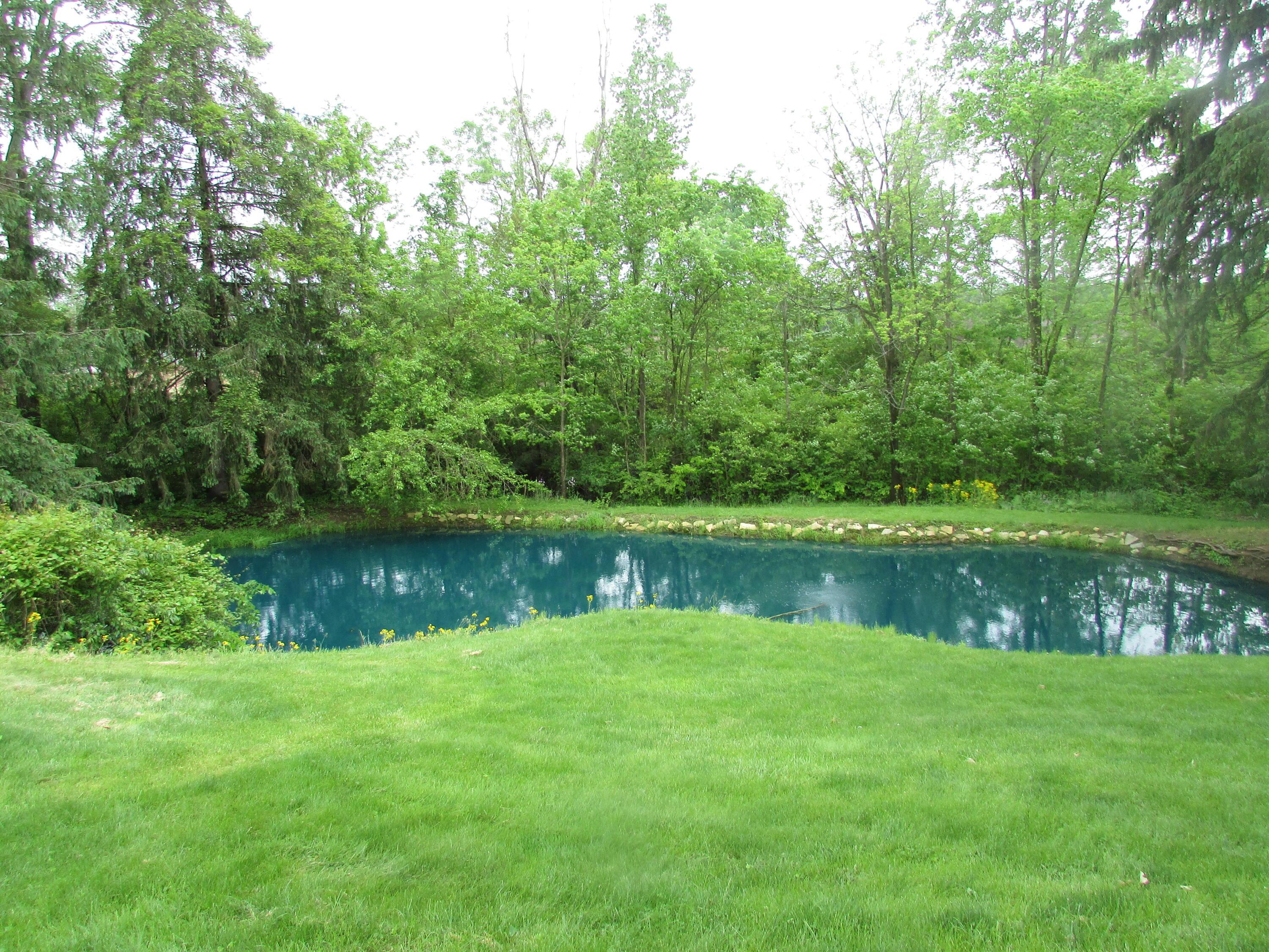 1000 Lewis Center Road Lewis Center, OH 43035 - Photo 15 of 19 Lewis Center Pond 3