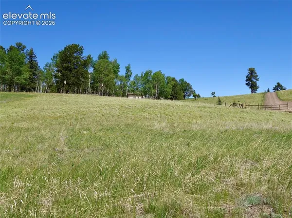 $117,500 | 307 Pinaceae Heights, Divide, CO 80814
