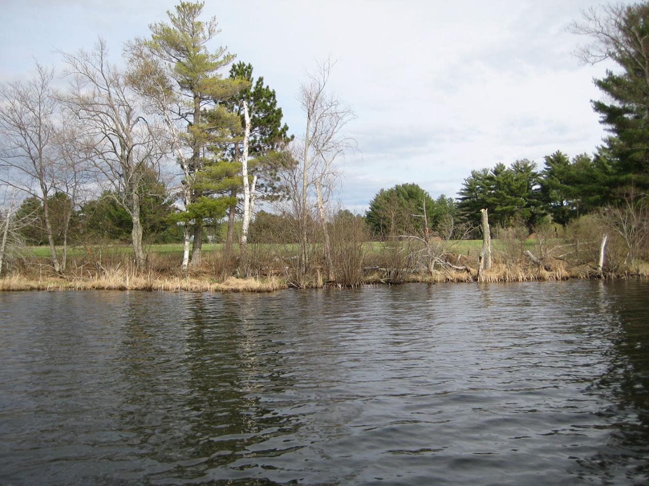 Lot #68 St Marys Road Eagle River, WI 54521 - Photo 1 of 3 Gallery Image 1