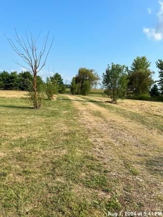 5744 McLean Mill Road Circleville, OH 43113 - Photo 16 of 45 IMG_0078