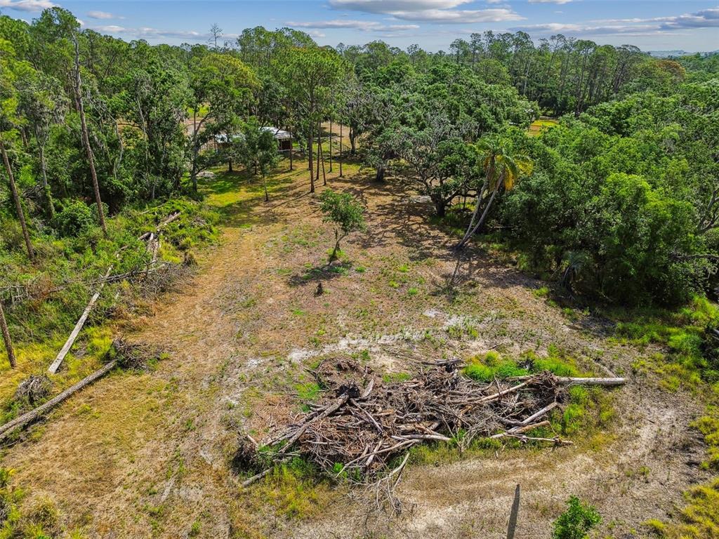 2853 Saffold Road Wimauma, FL 33598 - Photo 49 of 62 a view of yard
