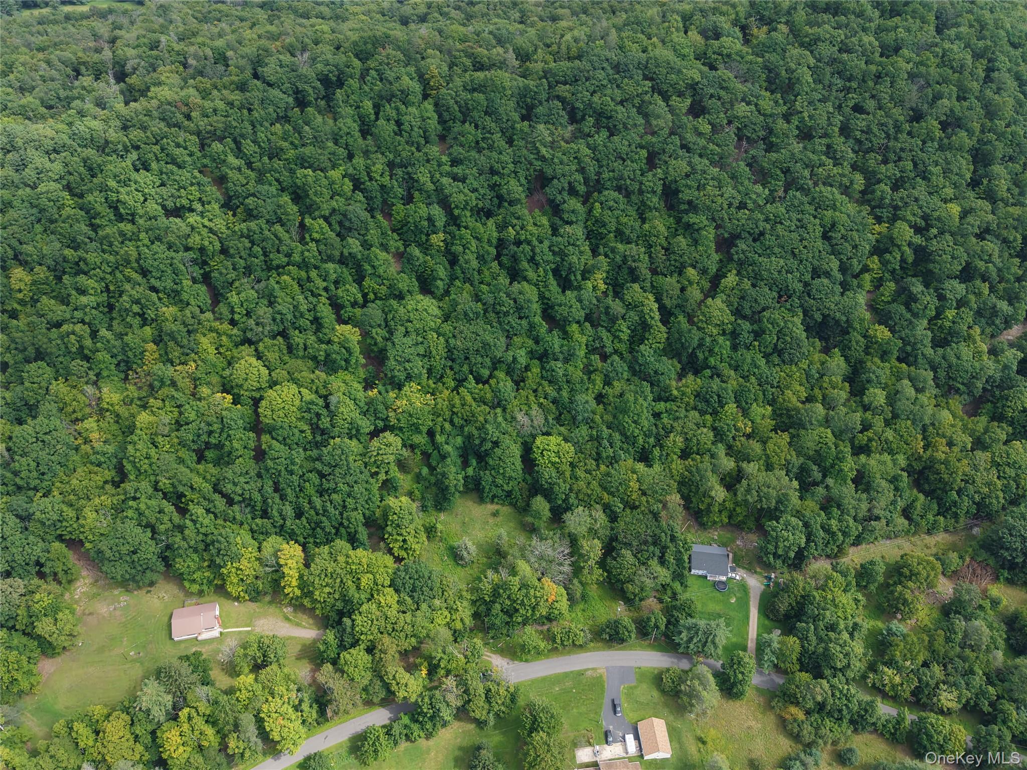 Twinshaven Road Neversink, NY 12765 - Photo 3 of 20 Gallery Image 3