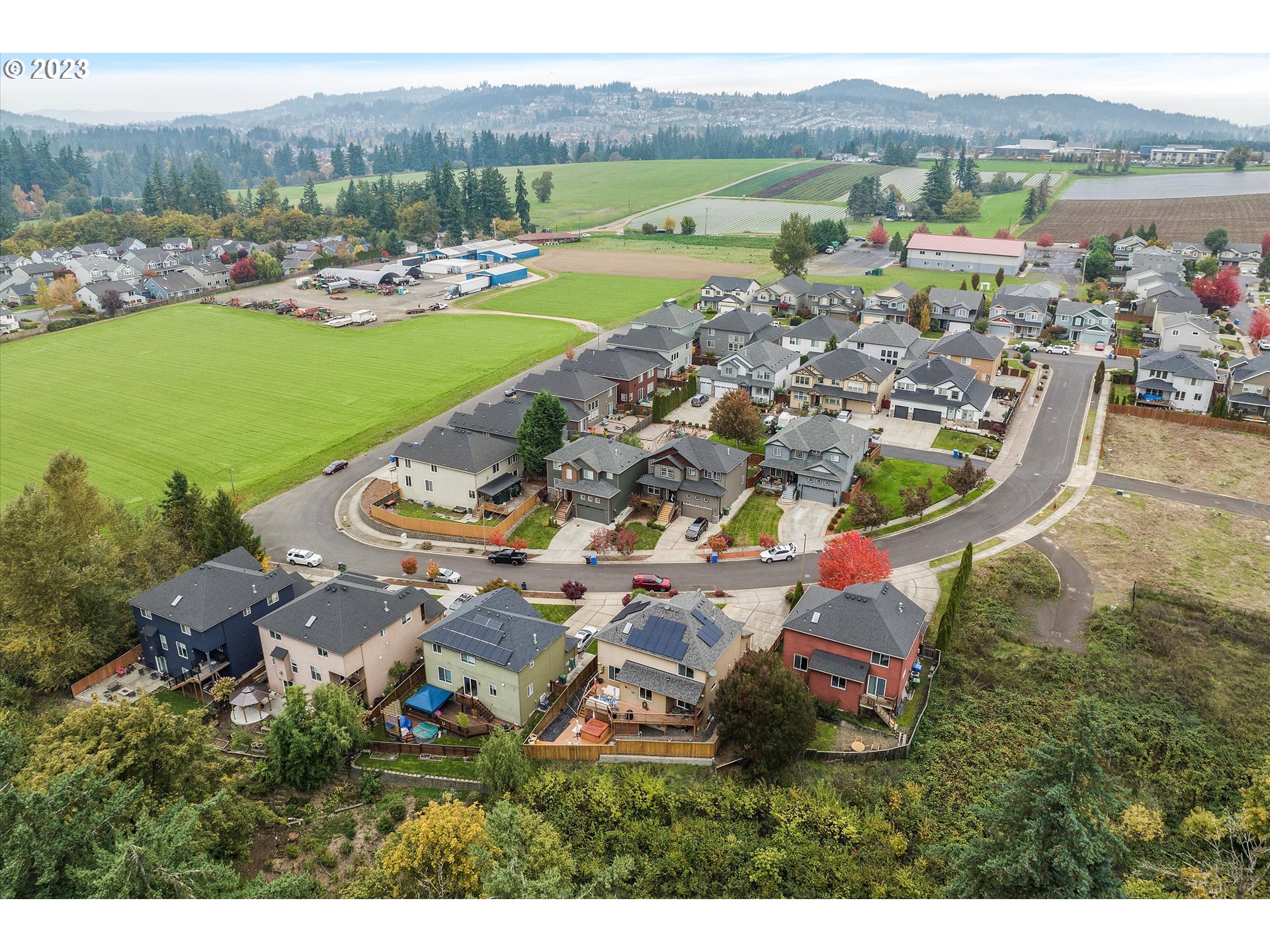 16472 Southeast Siri Loop Damascus, OR 97089 - Photo 40 of 41 a view of a lake with a mountain