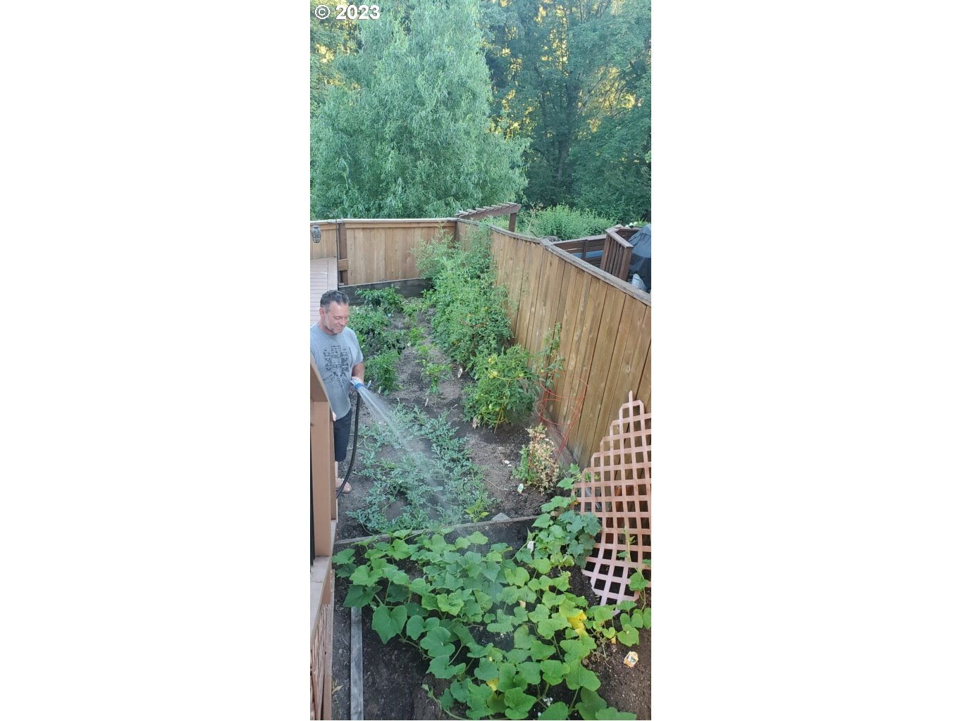 16472 Southeast Siri Loop Damascus, OR 97089 - Photo 41 of 41 a view of a backyard