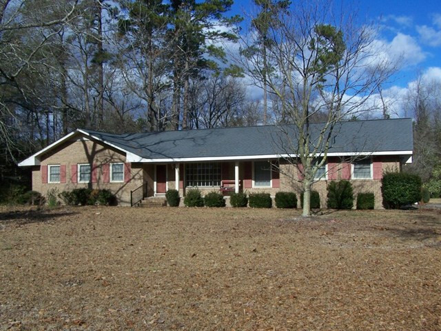 Main View