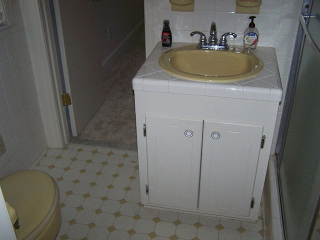 3580 Pauls Path Road La Grange, NC 28551 - Photo 13 of 17 Guest Bath