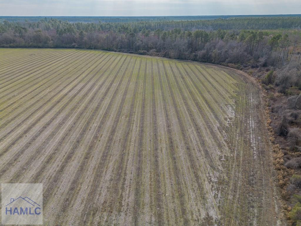 3 Reddish Road Screven, GA 31560 - Photo 19 of 55 Gallery Image 19