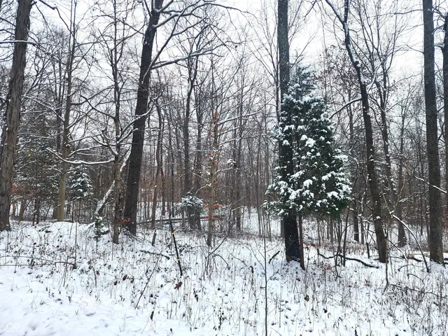 $60,000 | Tbd Dogwood Acres Drive, Williams, IN 47470