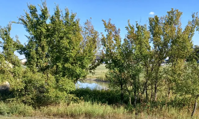 $469,900 | 3520 South Lori Street, Wichita, KS 67210