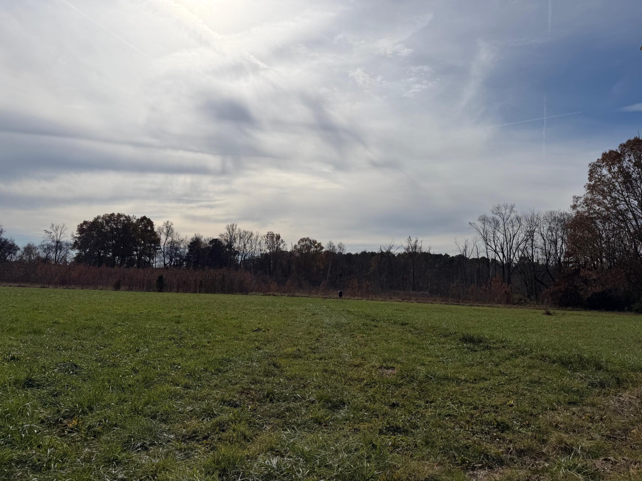 2505 Strawhill Road Southeast Cleveland, TN 37323 - Photo 3 of 25 Gallery Image 3