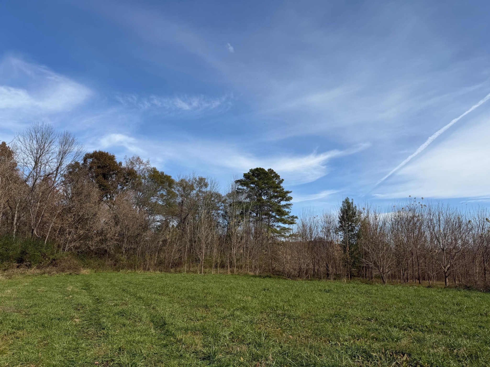 2505 Strawhill Road Southeast Cleveland, TN 37323 - Photo 5 of 25 Gallery Image 5