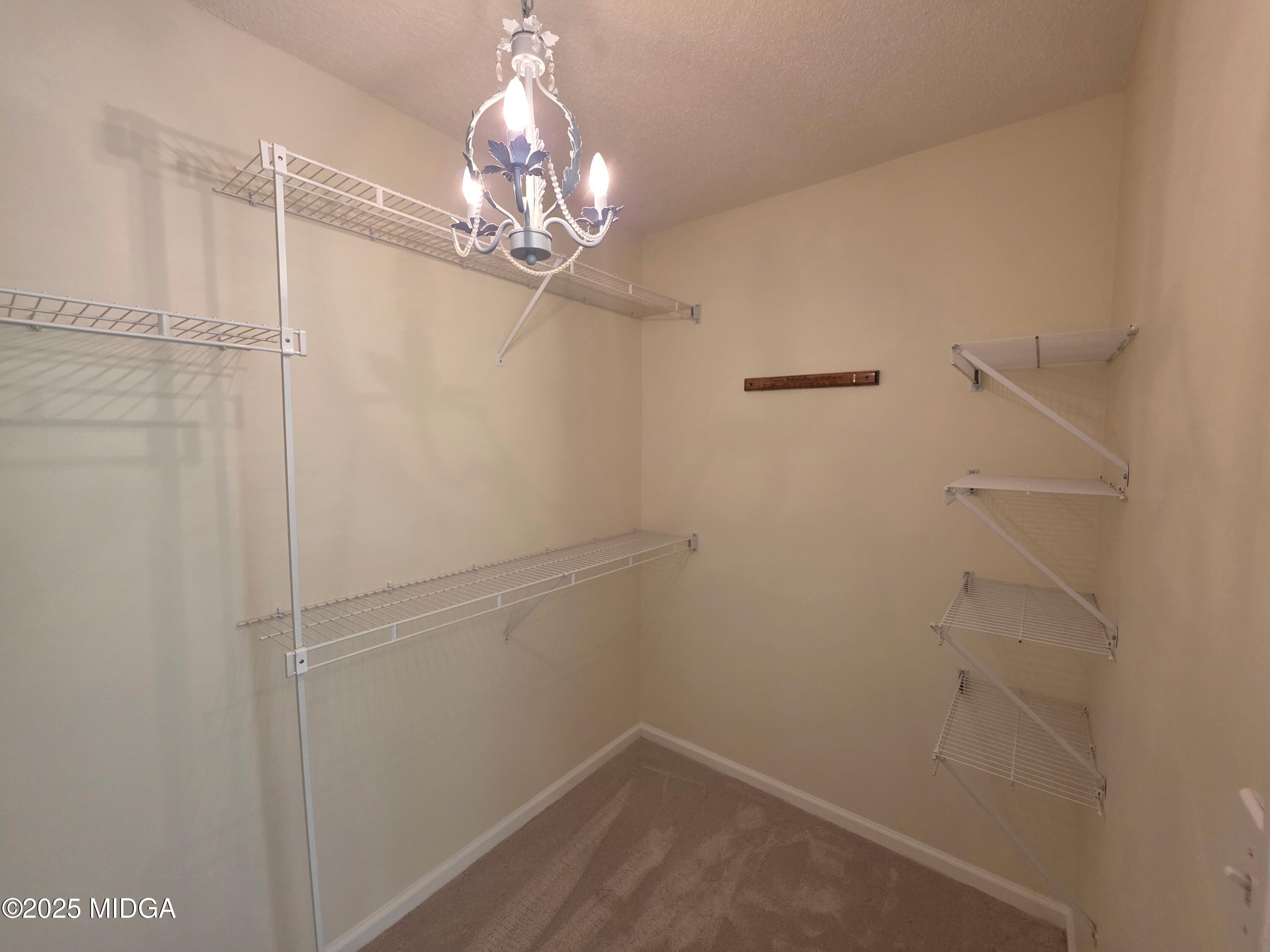 196 Springfield Boulevard Macon, GA 31210 - Photo 13 of 39 196 Owners closet