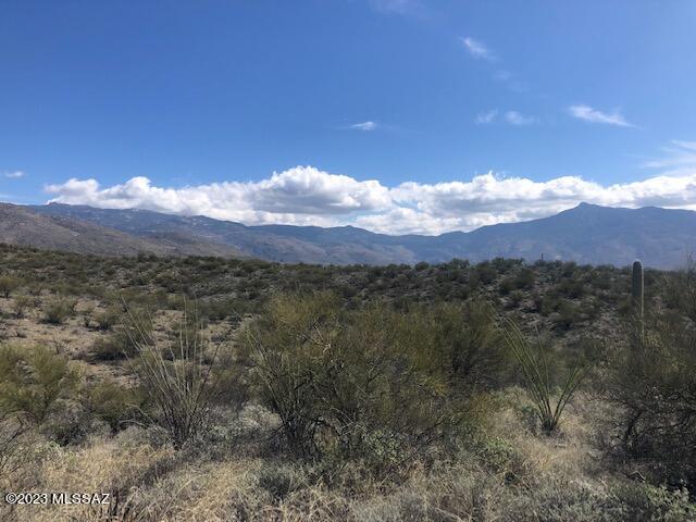 East Rincon Creek Ranch Road, Unit D Tucson, AZ 85747 - Photo 12 of 12 Gallery Image 12