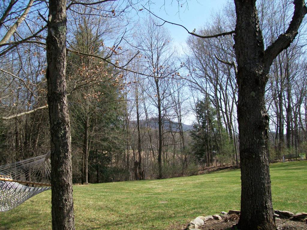 5 Iron Mine Road West Stockbridge, MA 01266 - Photo 18 of 19 a view of a trees with a yard