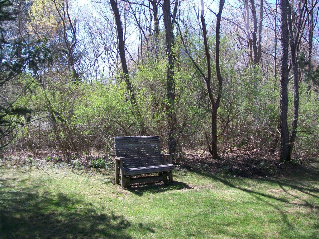 5 Iron Mine Road West Stockbridge, MA 01266 - Photo 5 of 19 a wooden bench sitting in the middle of a forest