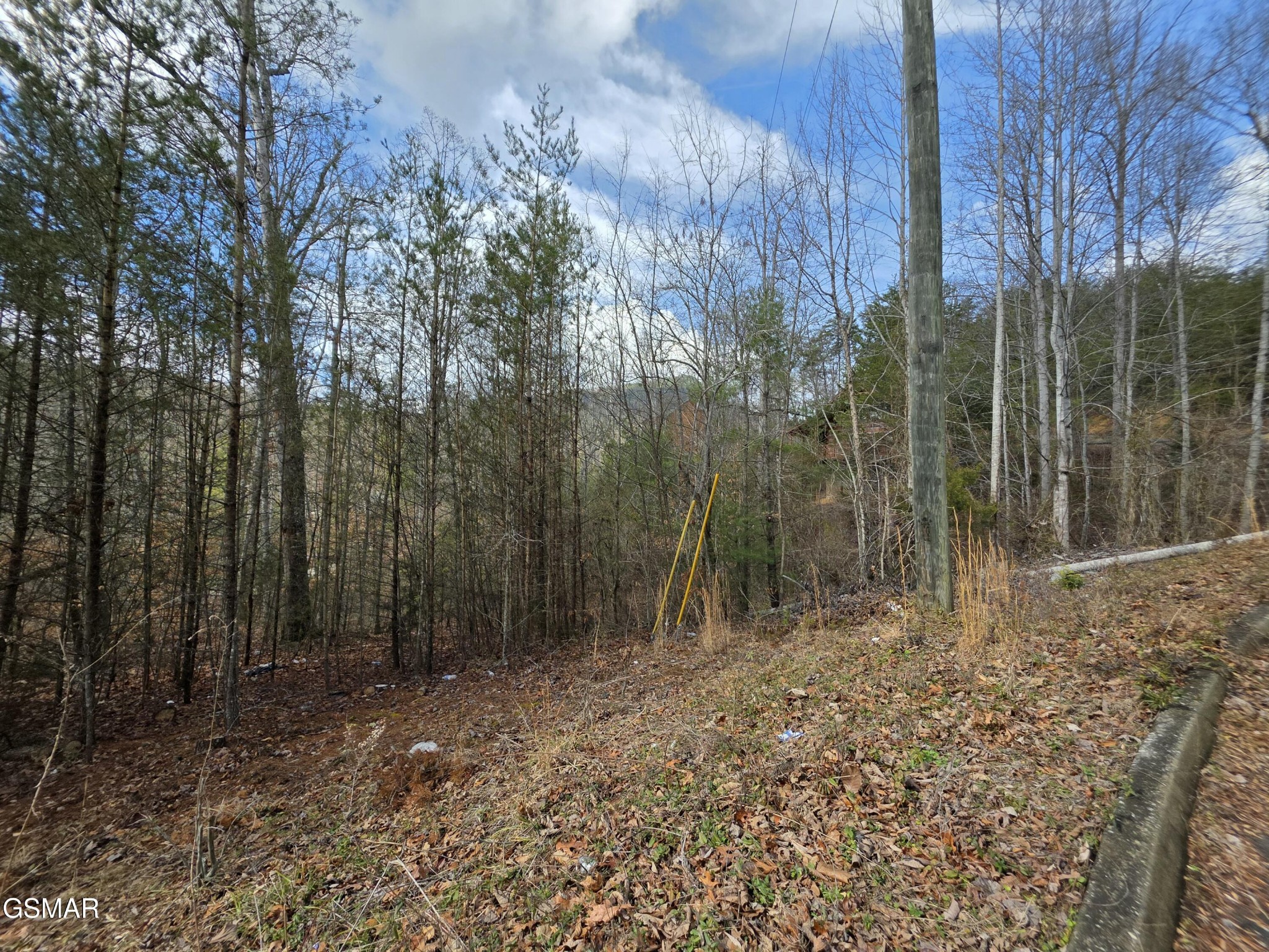 128 Bear Valley Road Sevierville, TN 37876 - Photo 2 of 14