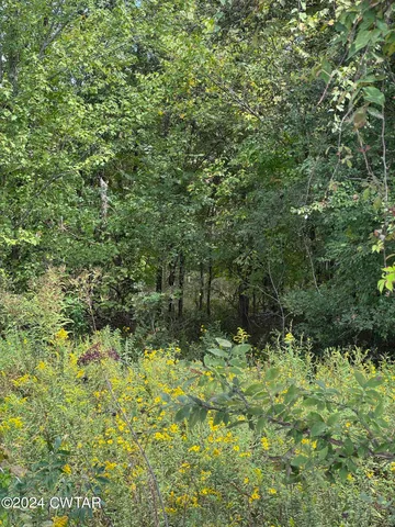 a view of outdoor space and a yard