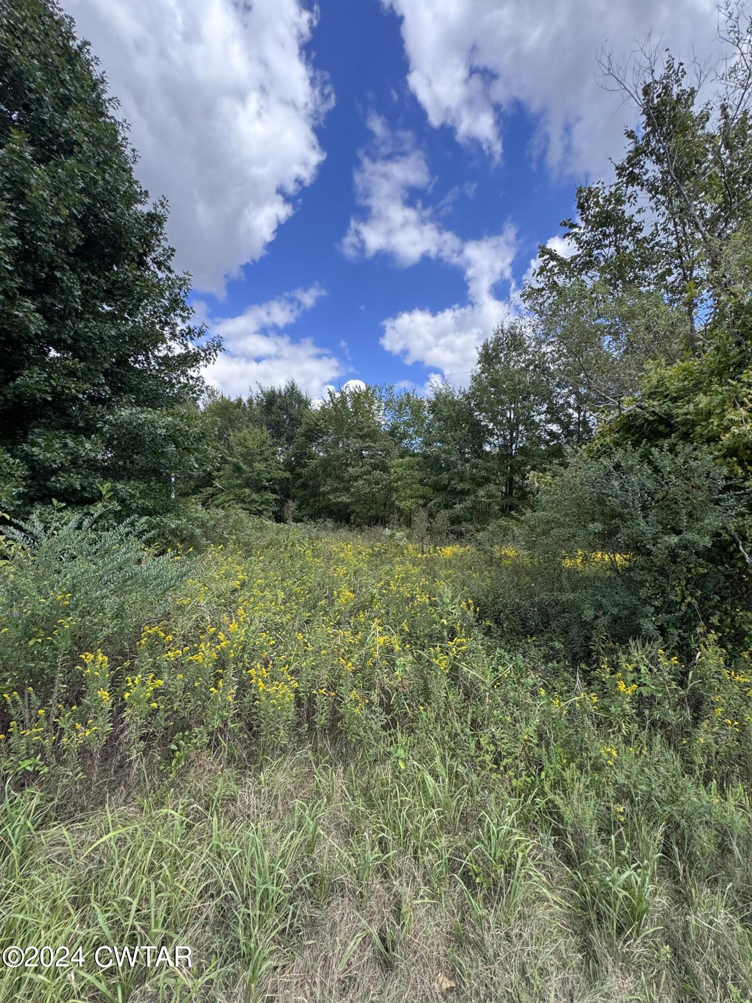 444 Charlie Lewis Road Trenton, TN 38382 - Photo 4 of 11 a view of a green field