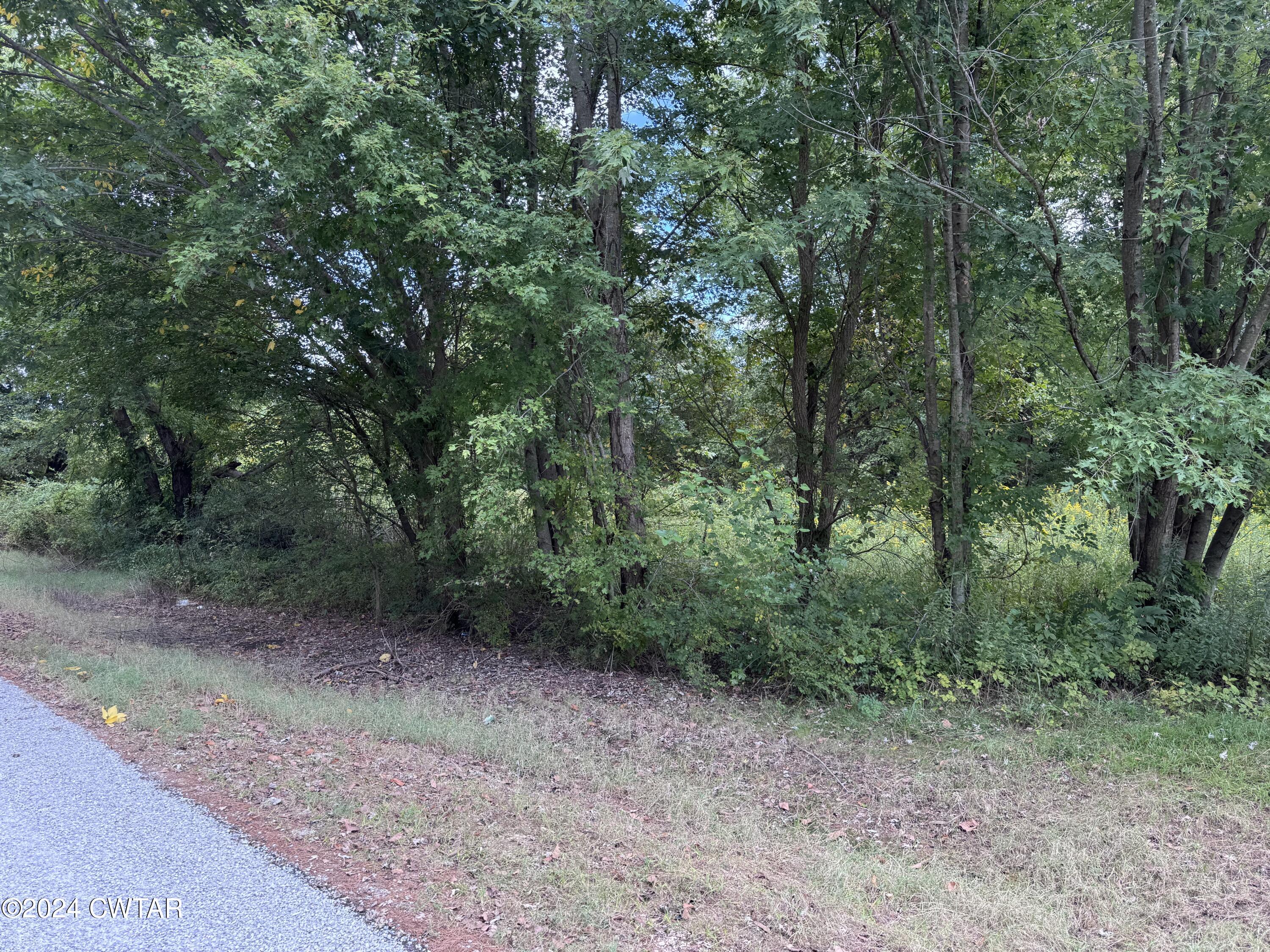 444 Charlie Lewis Road Trenton, TN 38382 - Photo 5 of 11 a view of a forest with trees in the background