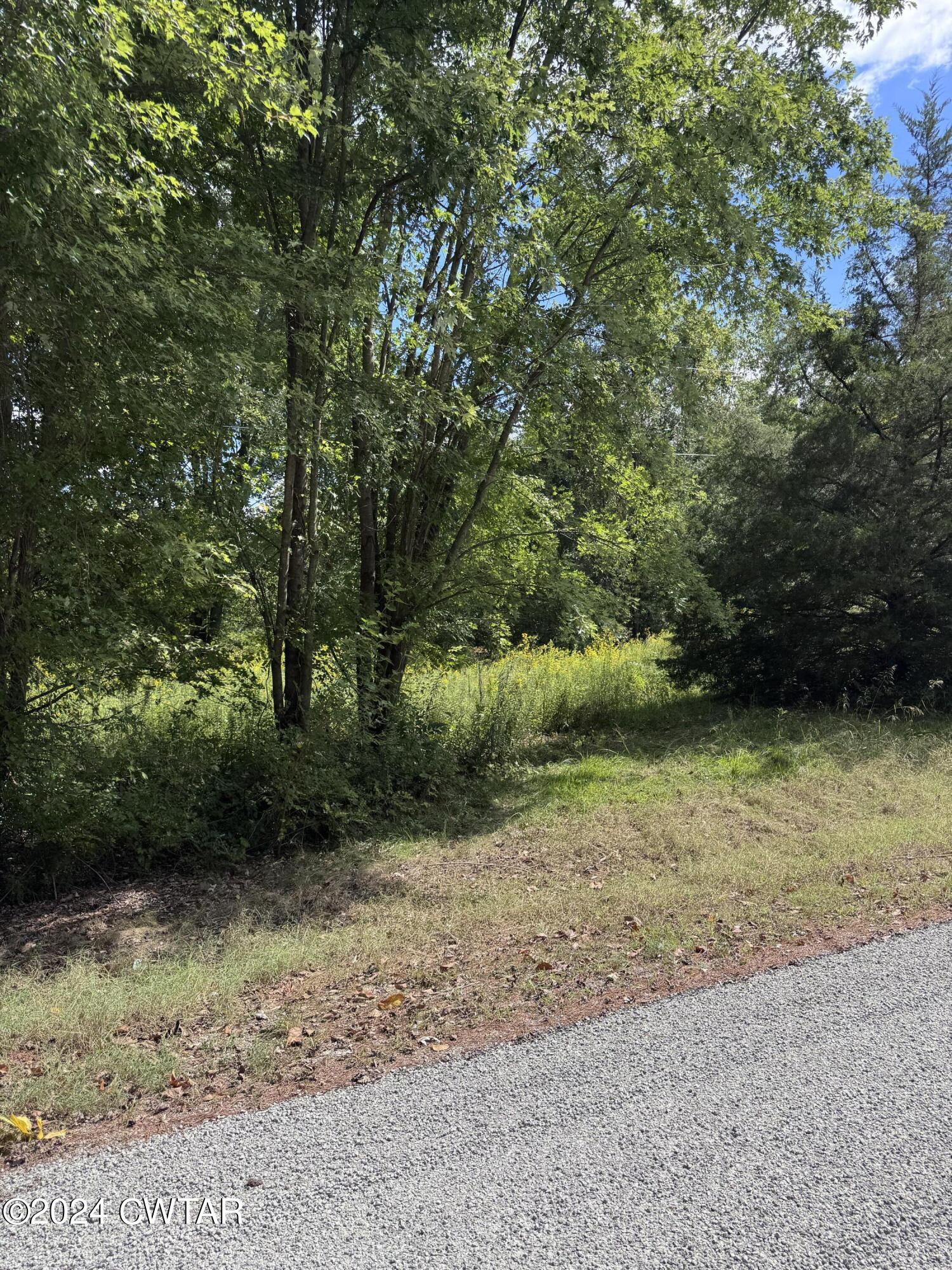 444 Charlie Lewis Road Trenton, TN 38382 - Photo 10 of 11 a view of a yard with a tree