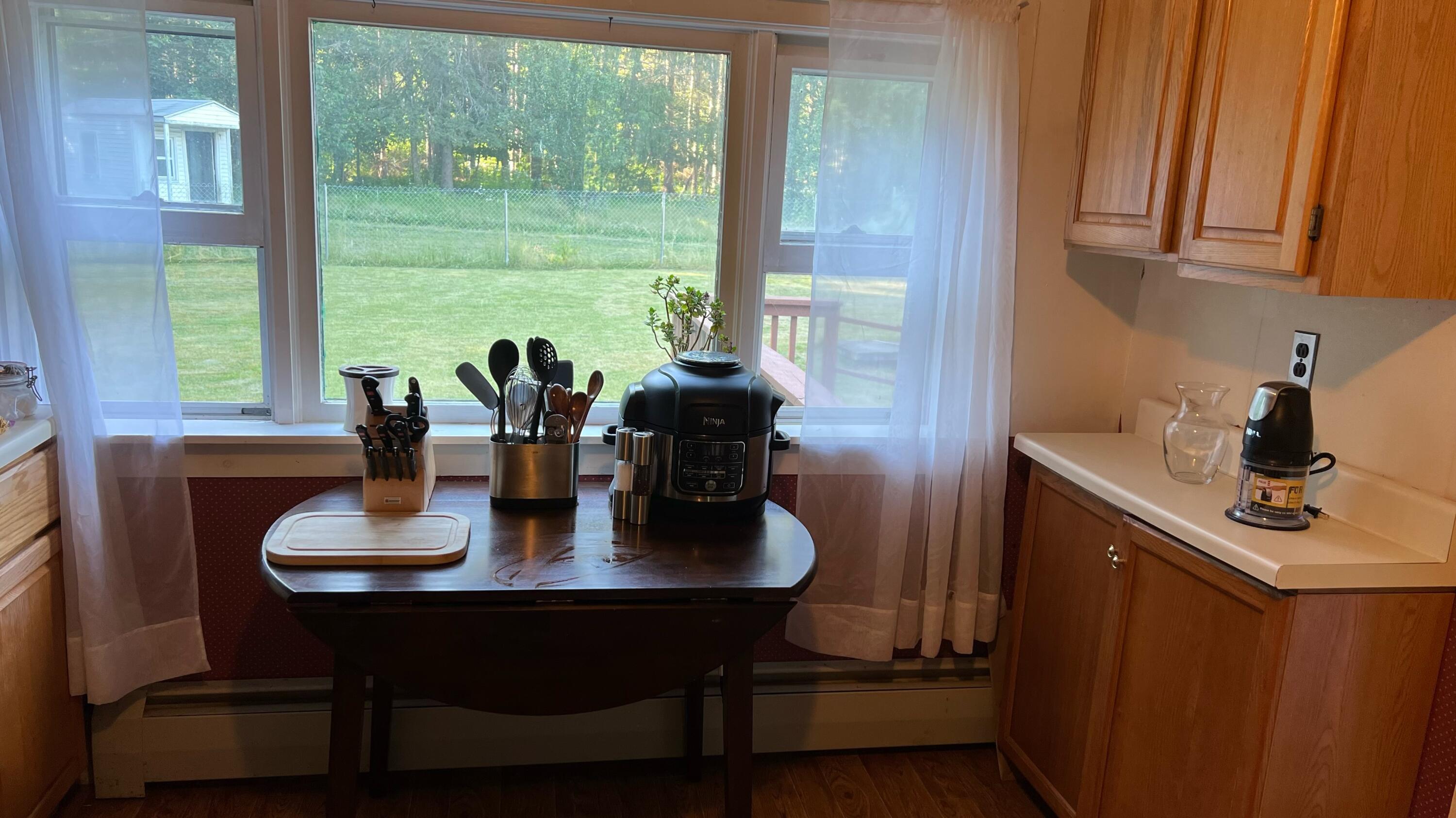 Kitchen back window