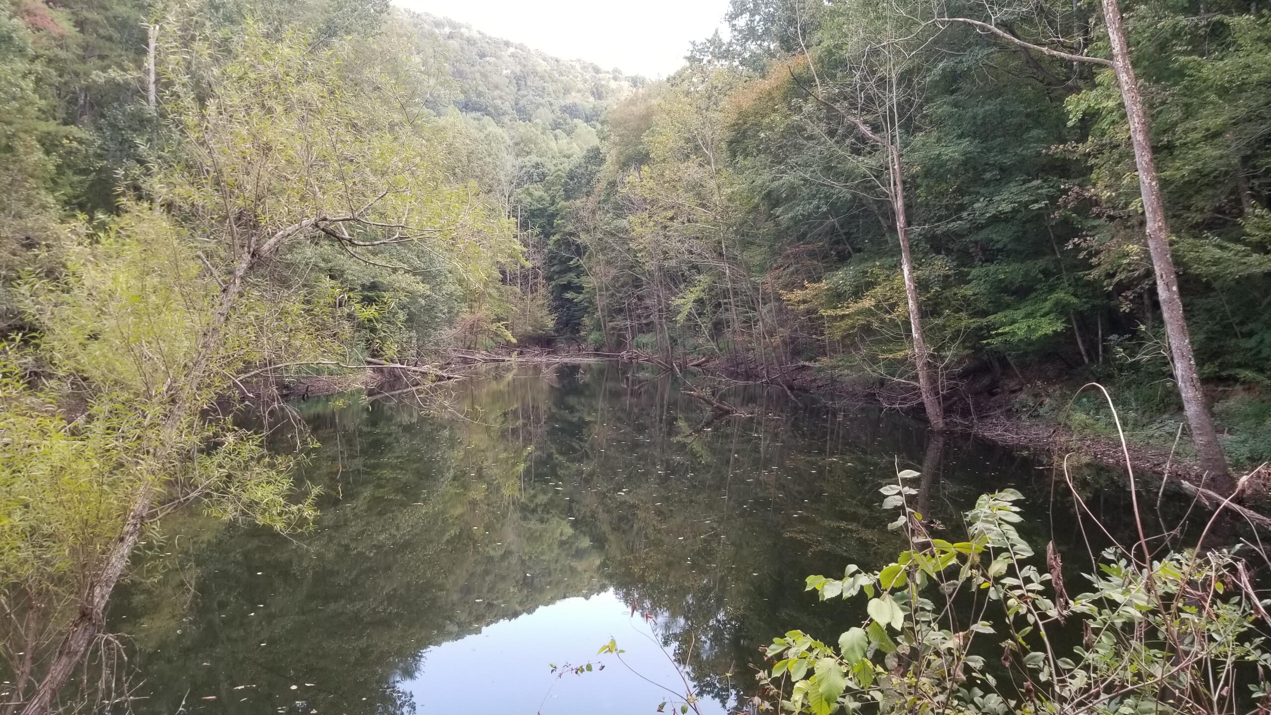L Swafford Road Pikeville, TN 37367 - Photo 1 of 26 1