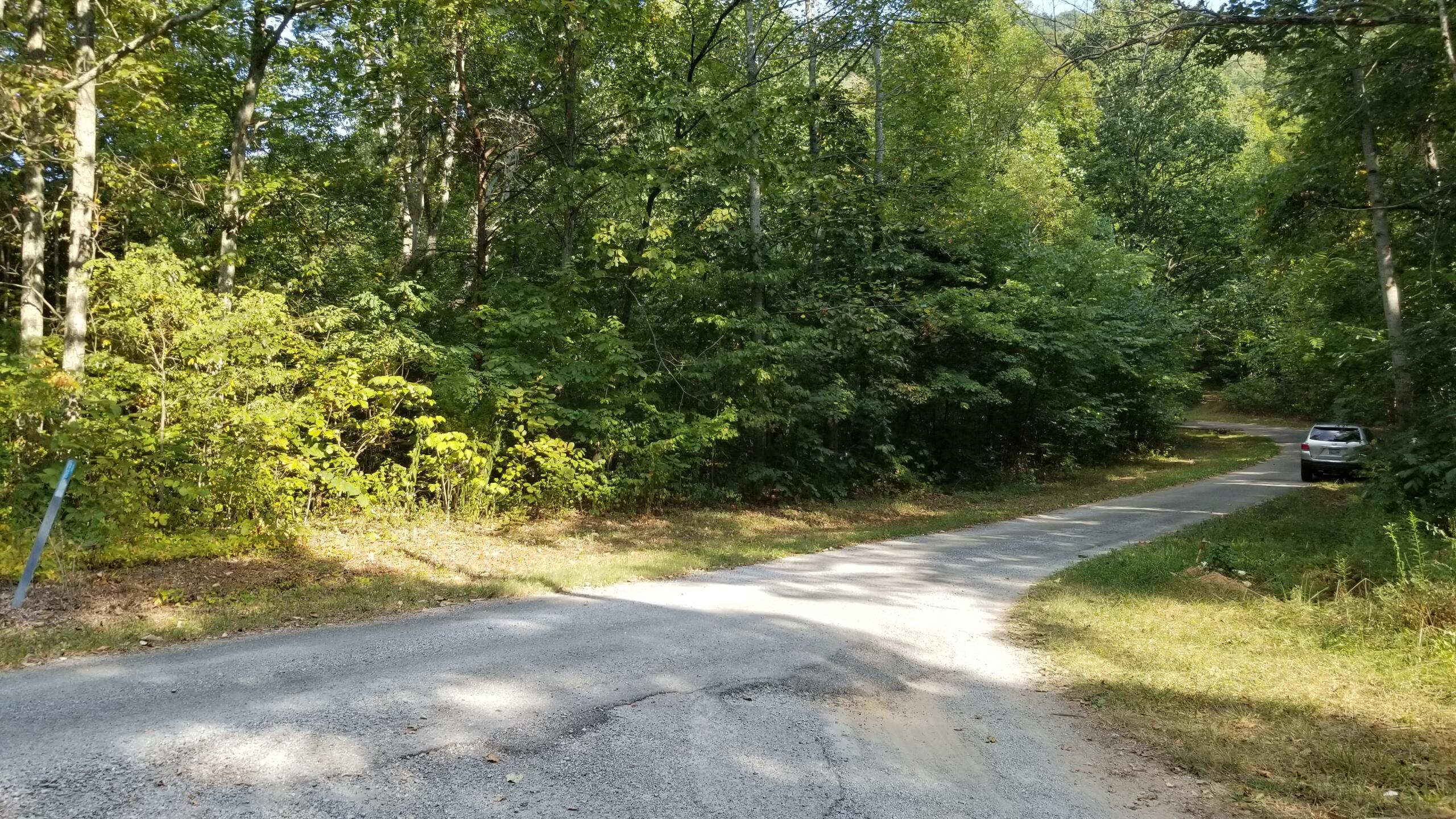 L Swafford Road Pikeville, TN 37367 - Photo 14 of 26 14