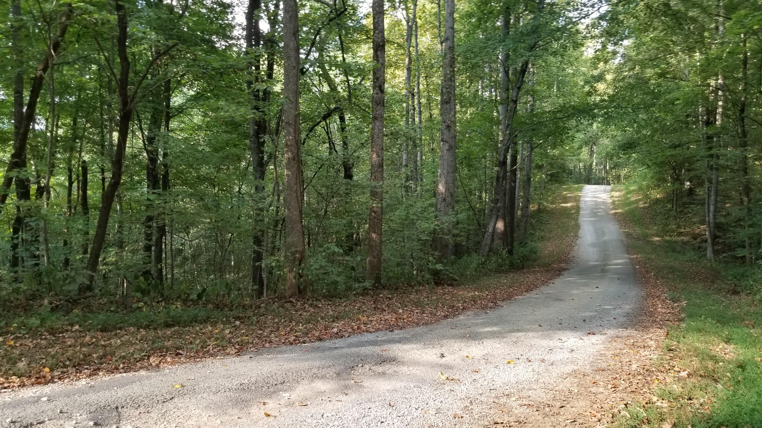 L Swafford Road Pikeville, TN 37367 - Photo 17 of 26 17