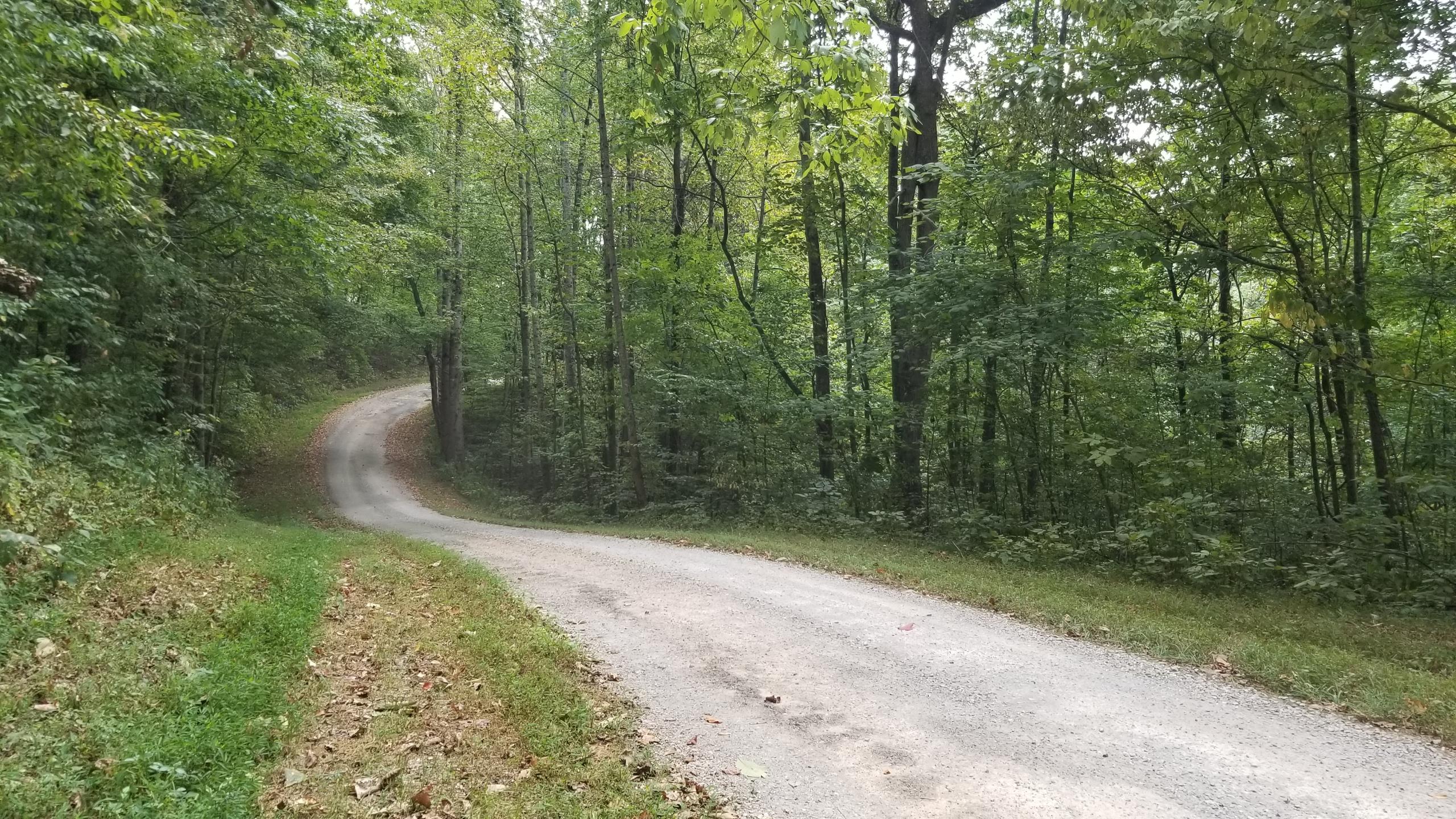 L Swafford Road Pikeville, TN 37367 - Photo 18 of 26 18