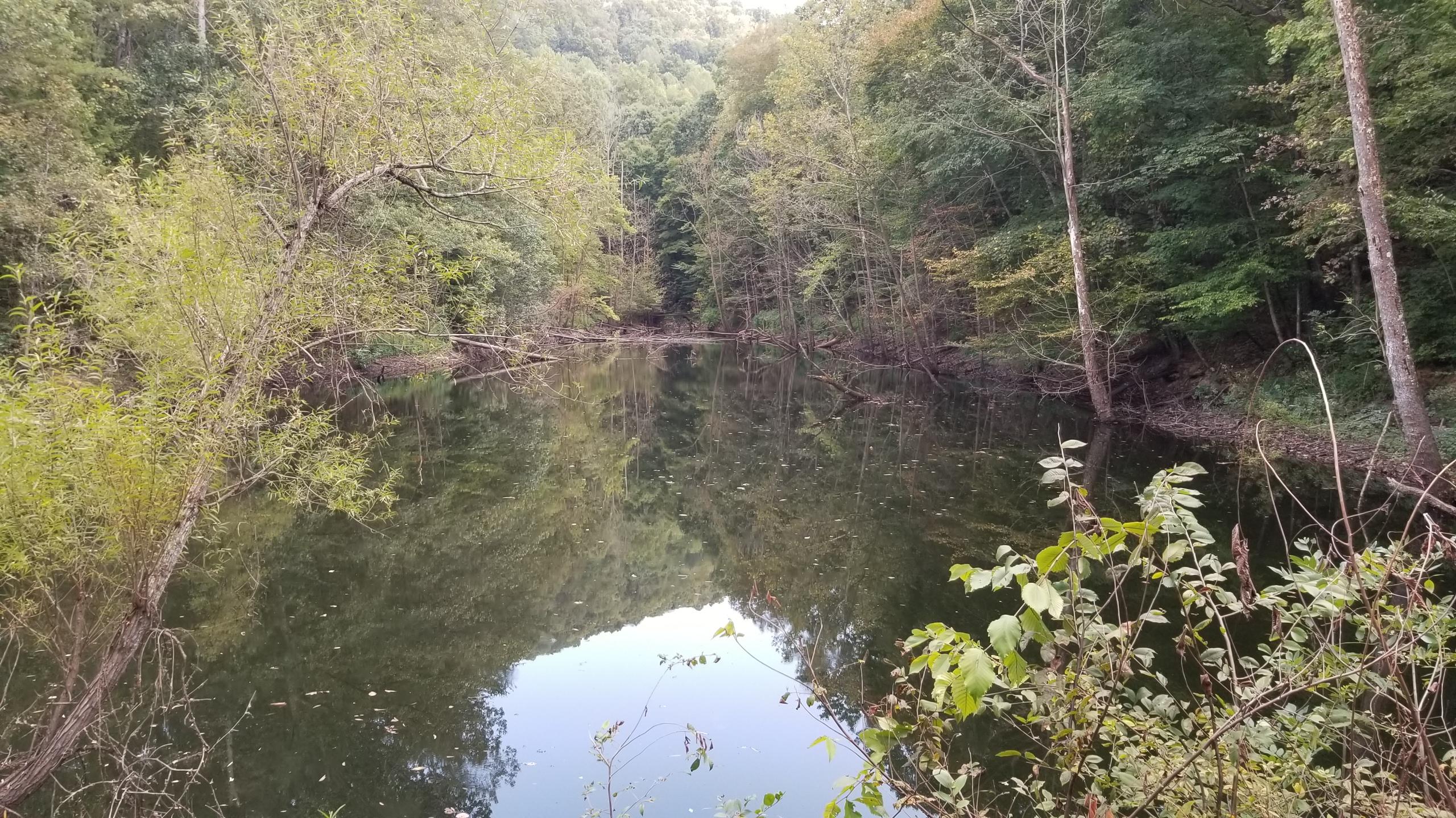 L Swafford Road Pikeville, TN 37367 - Photo 20 of 26 20