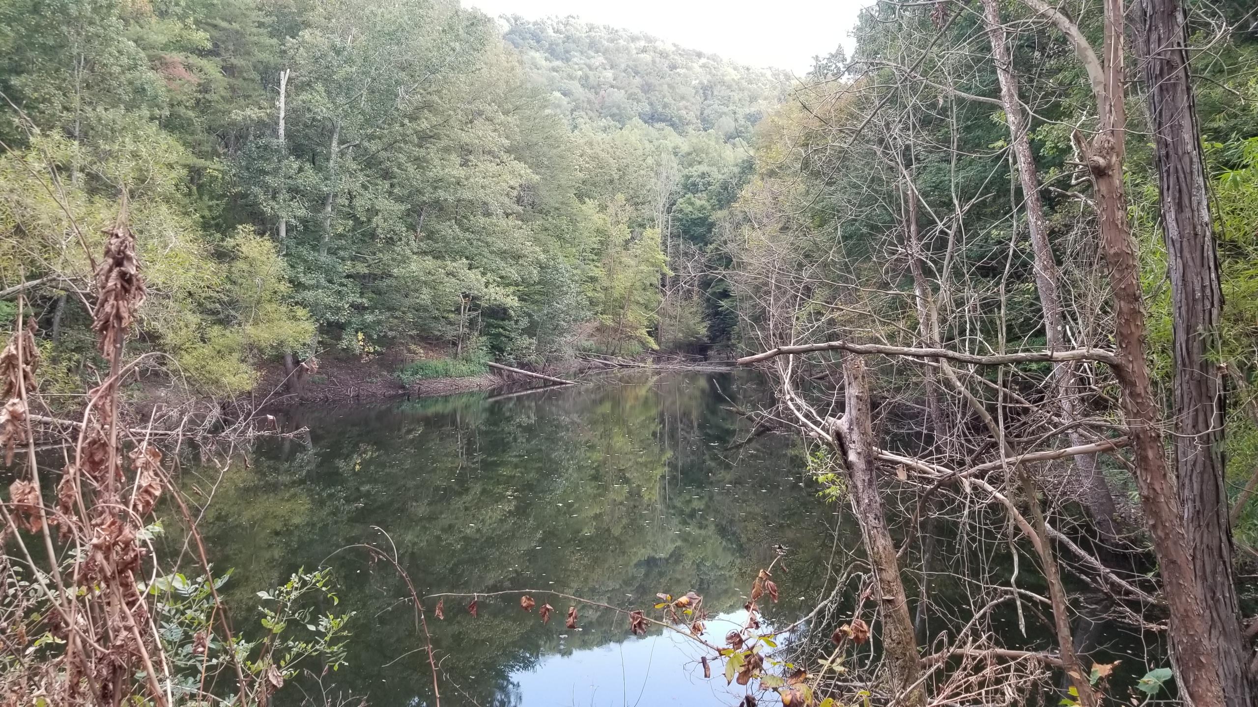 L Swafford Road Pikeville, TN 37367 - Photo 21 of 26 21