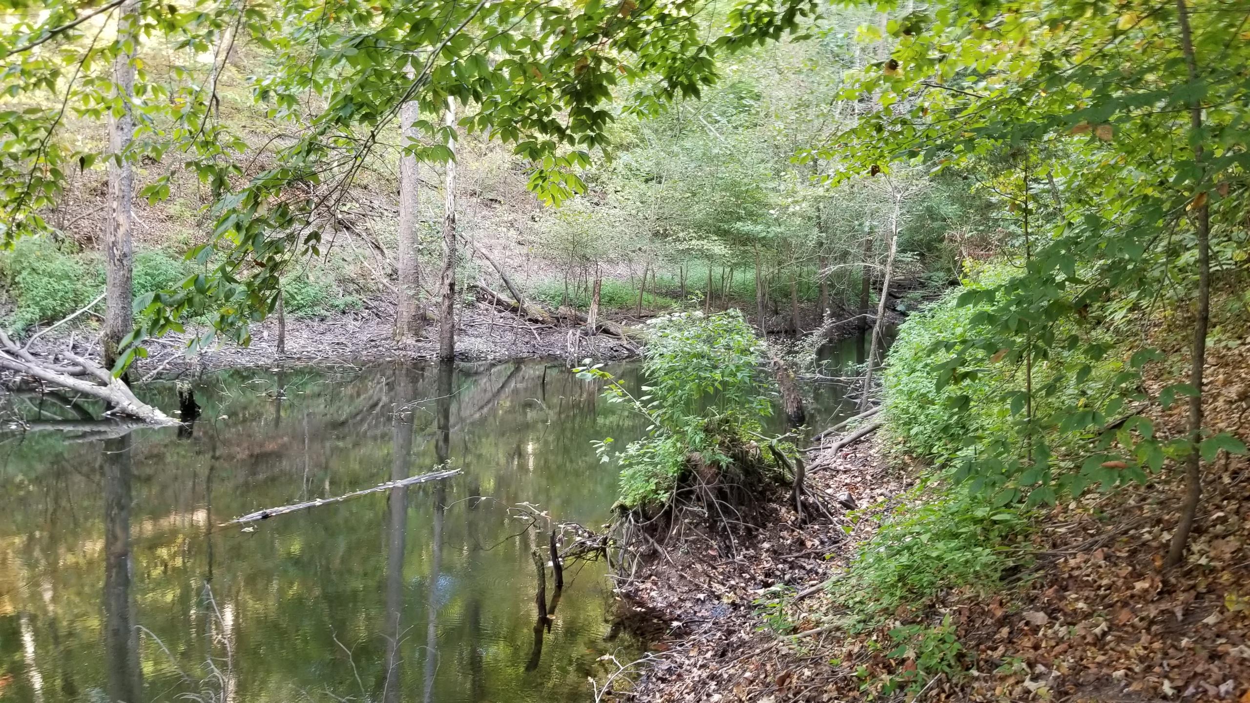 L Swafford Road Pikeville, TN 37367 - Photo 24 of 26 24