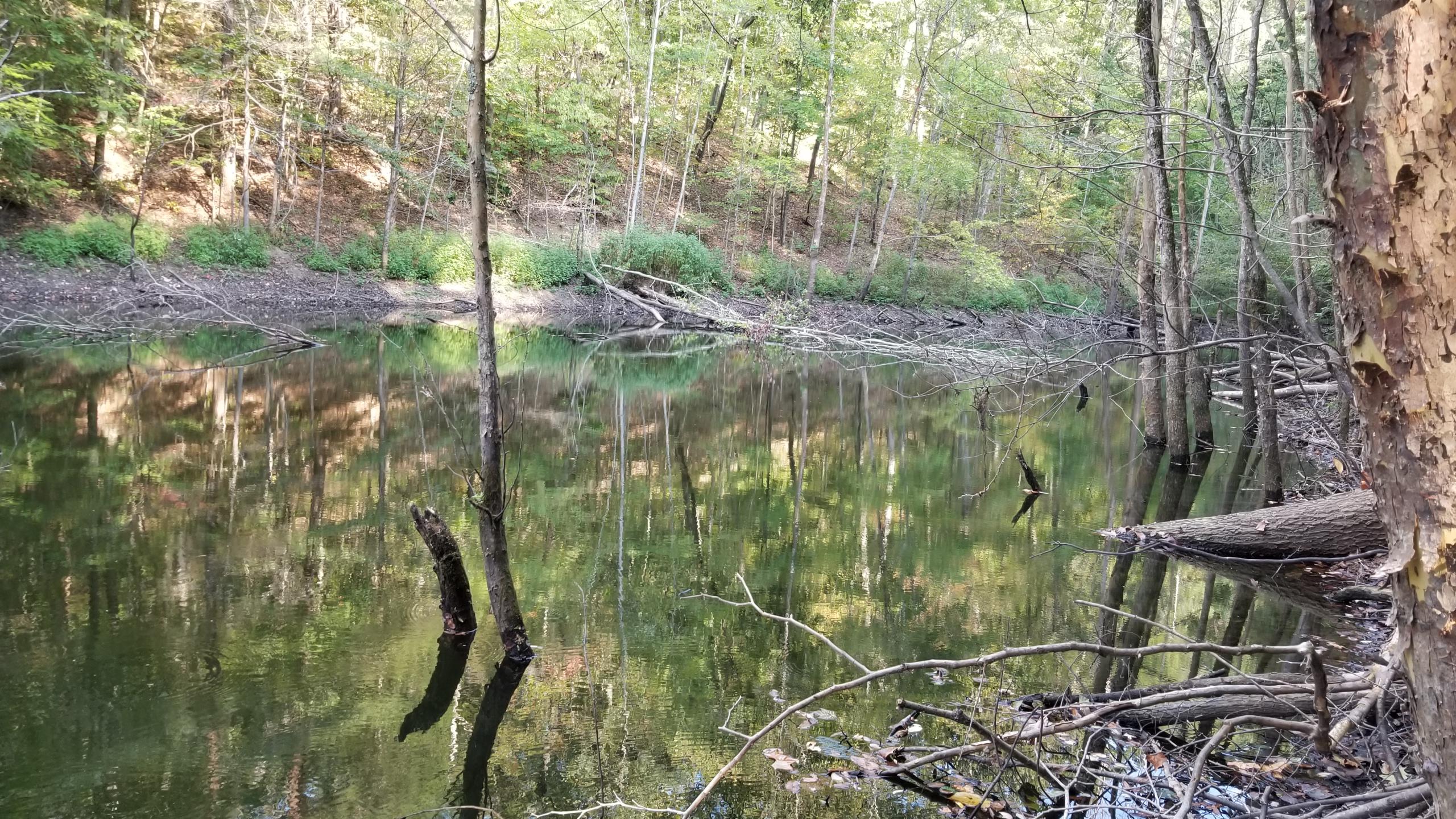 L Swafford Road Pikeville, TN 37367 - Photo 25 of 26 25