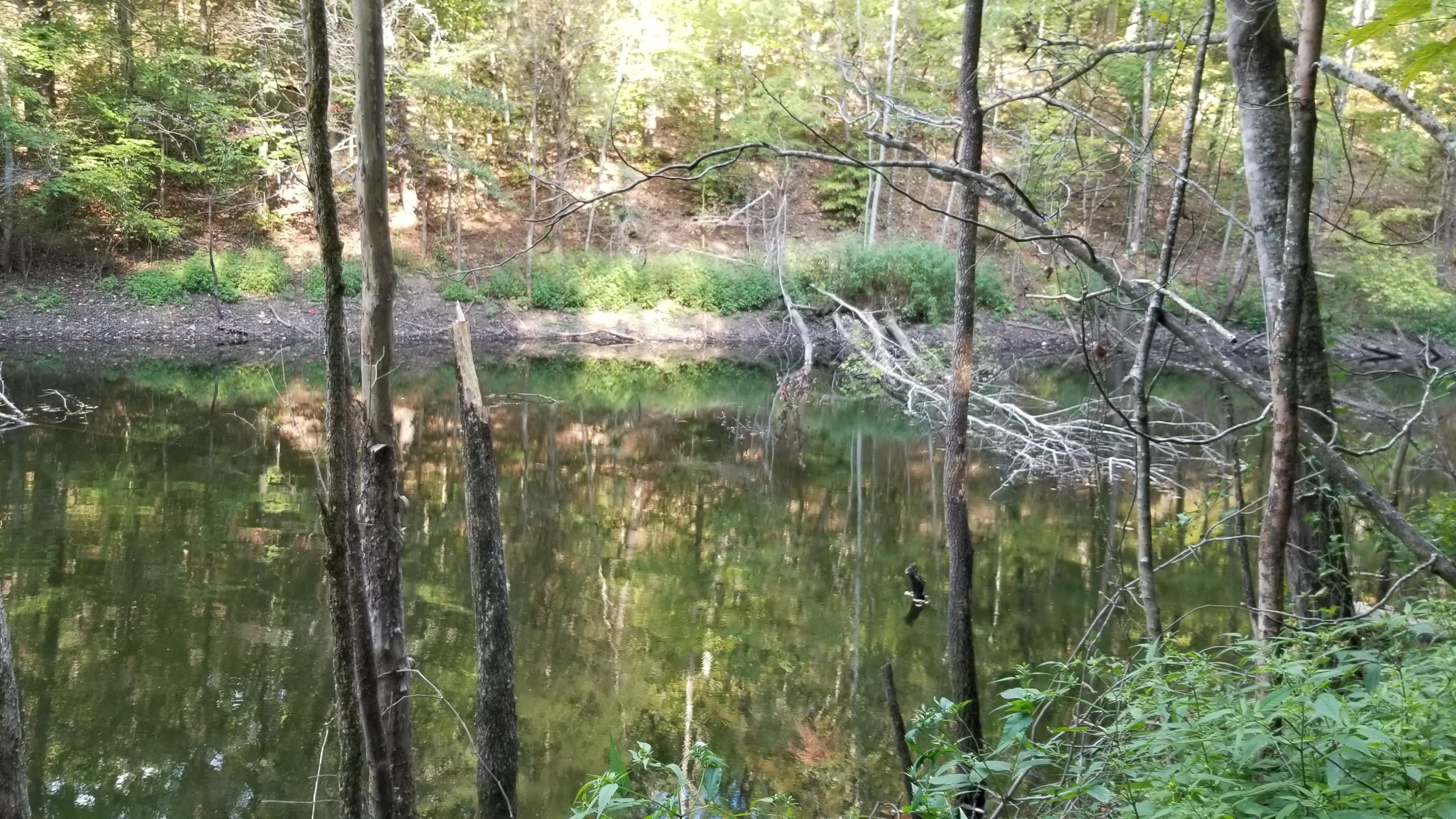 L Swafford Road Pikeville, TN 37367 - Photo 6 of 26 6