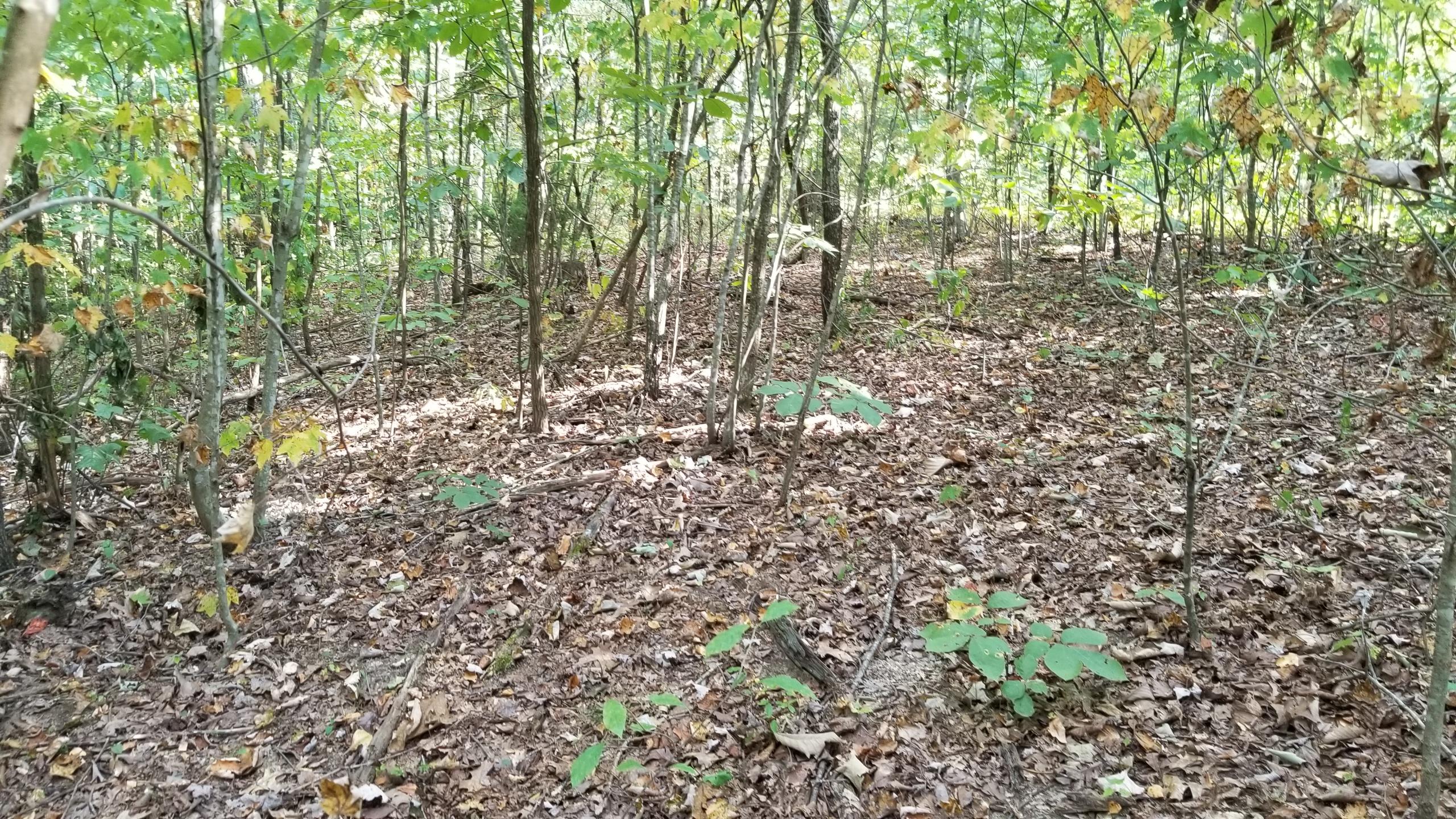 L Swafford Road Pikeville, TN 37367 - Photo 8 of 26 8